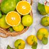 citrusove prvky